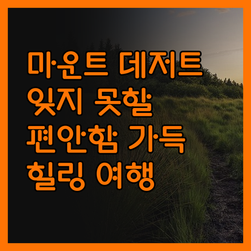 마운트 데저트, 잊지 못할 편안함!