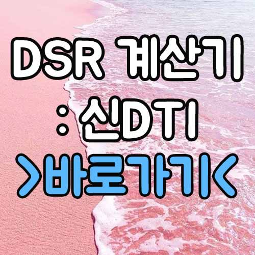  DSR 계산기 : 신DTI
