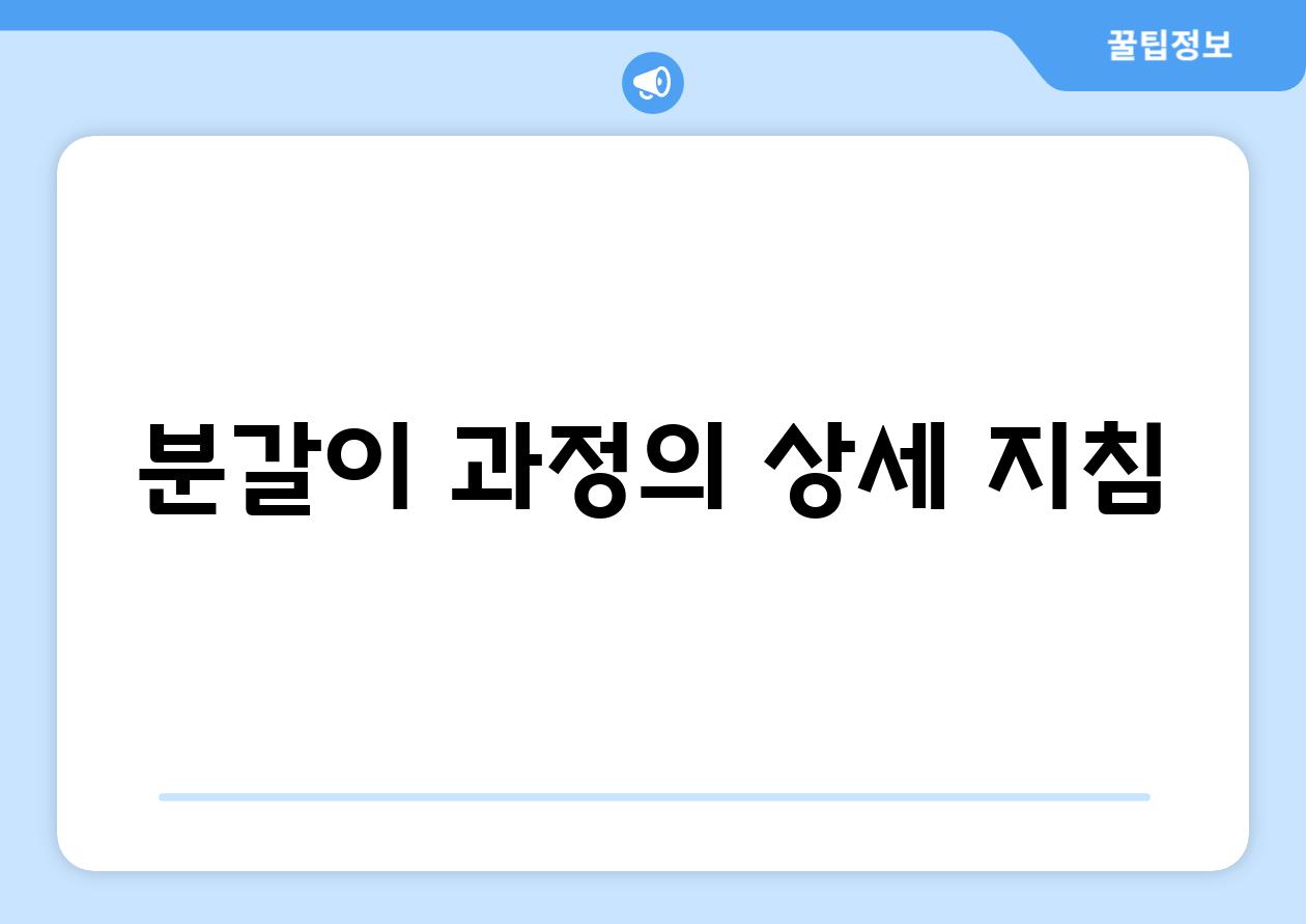 분갈이 과정의 상세 지침