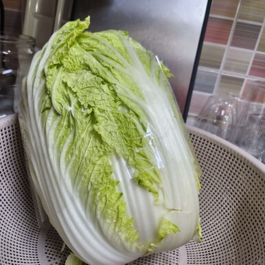 김치