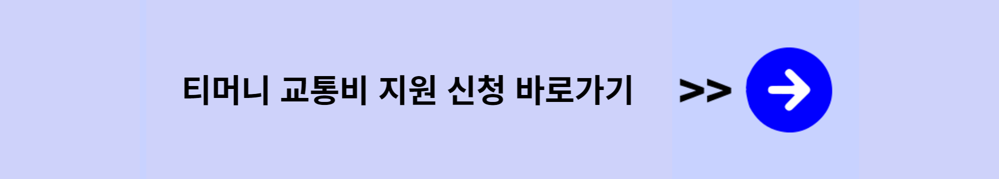 서울시 청년 대중교통비 지원