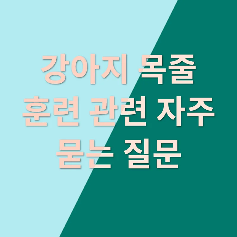 강아지 목줄 훈련_4