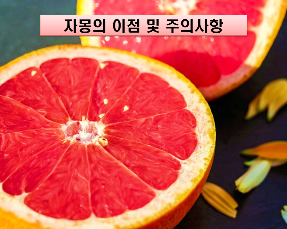  자몽의 이점 및 섭취 전 주의사항