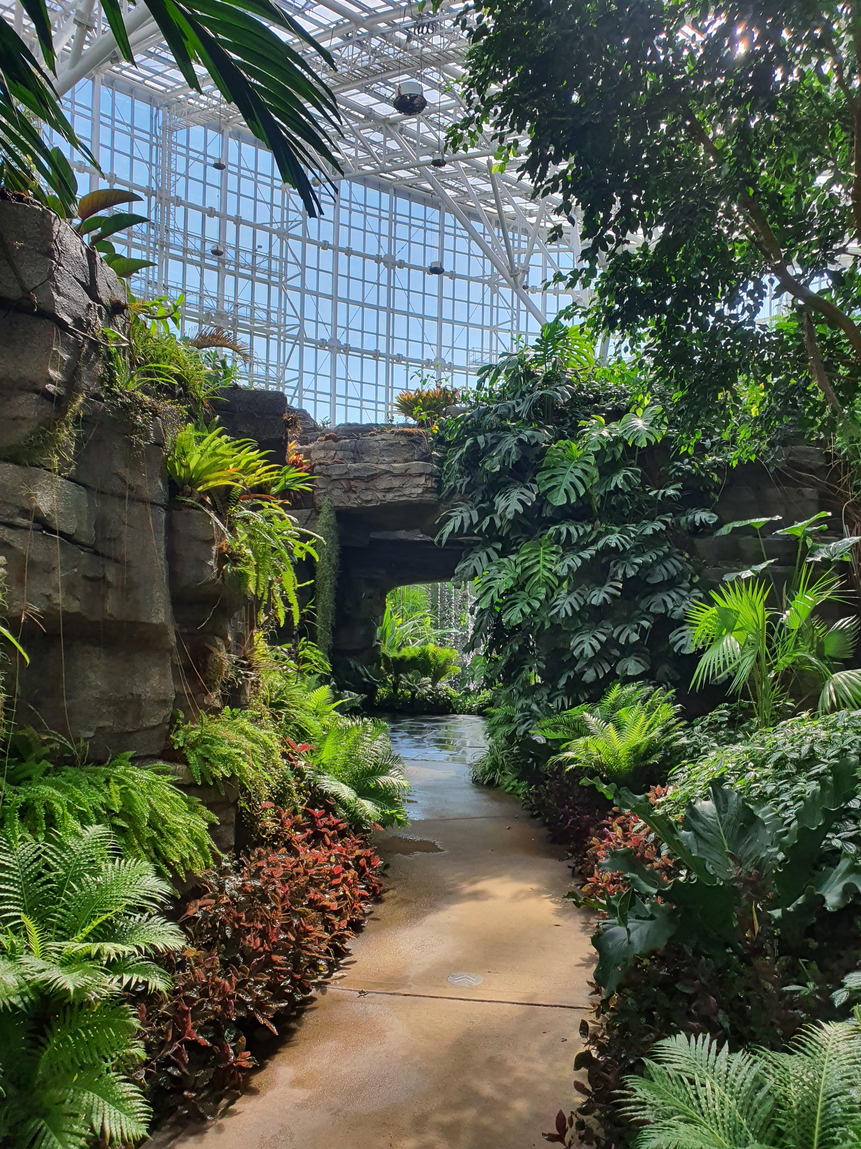 국립세종수목원 야간 개장 이용 안내 할인 혜택 세종 가볼만한 곳