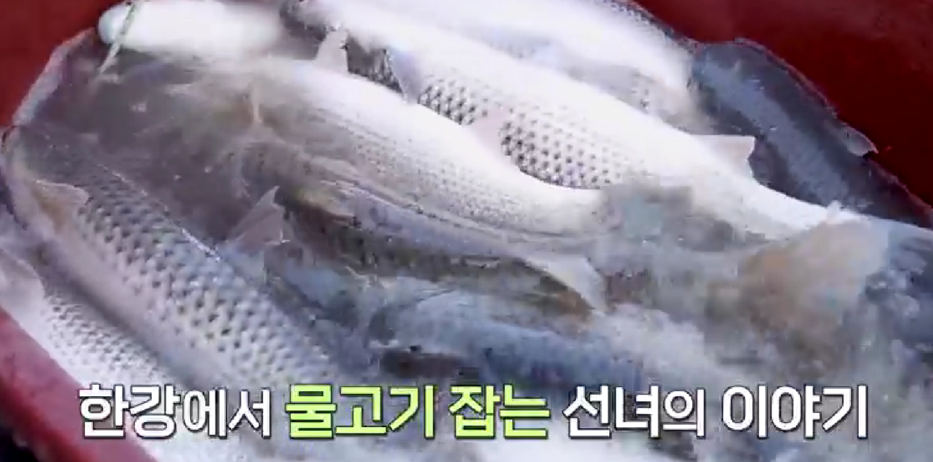 어부식당 이미지