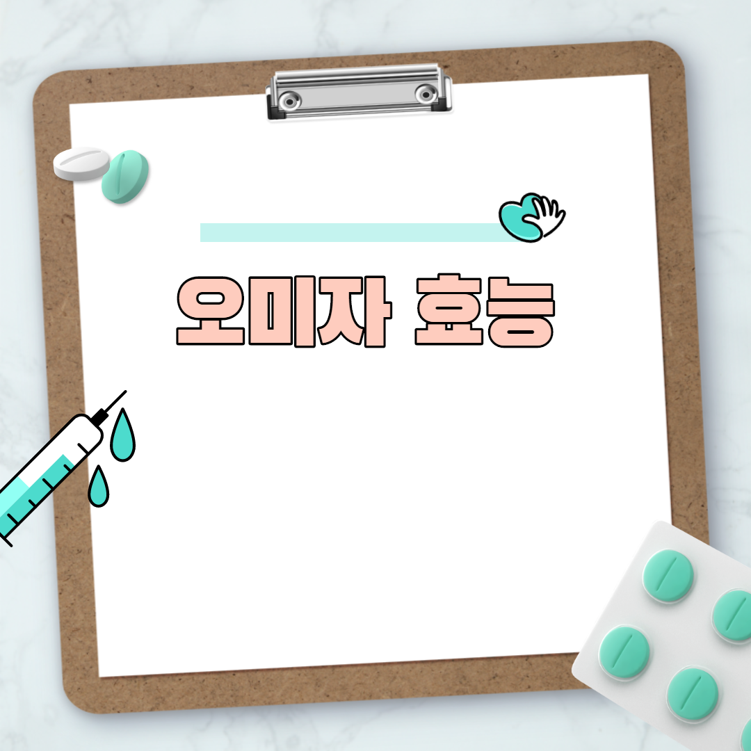 오미자 효능