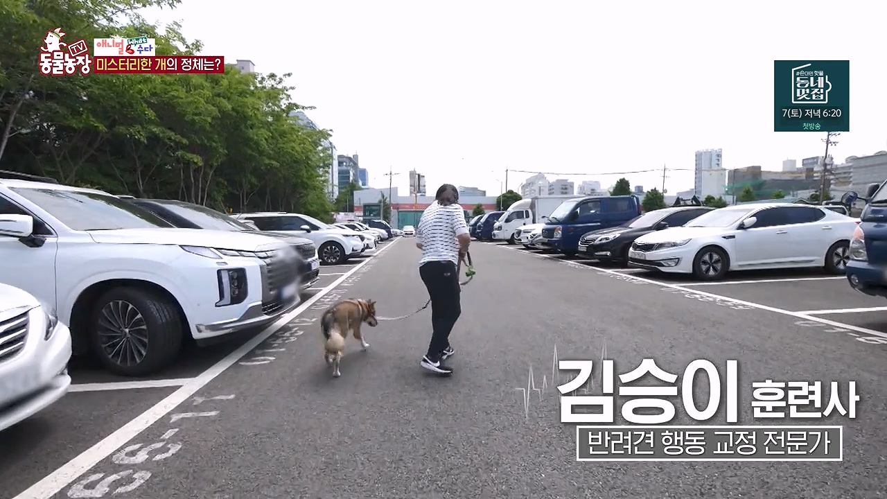 TV 동물농장.E1187.240902p-NEXT.mp4_20240901_153850.336.jpg