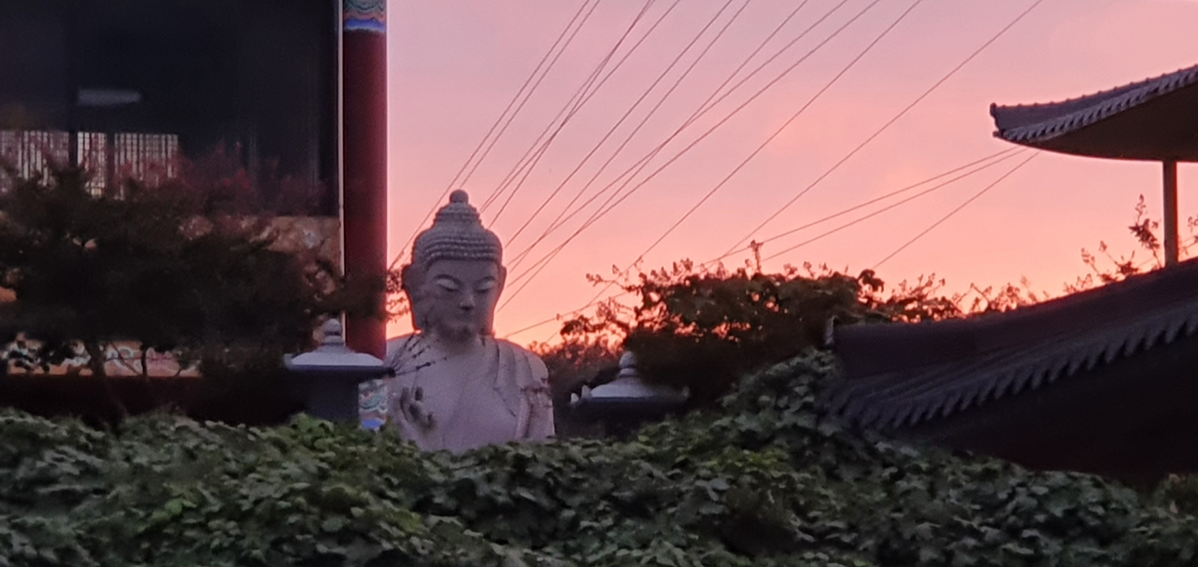 img.jpg