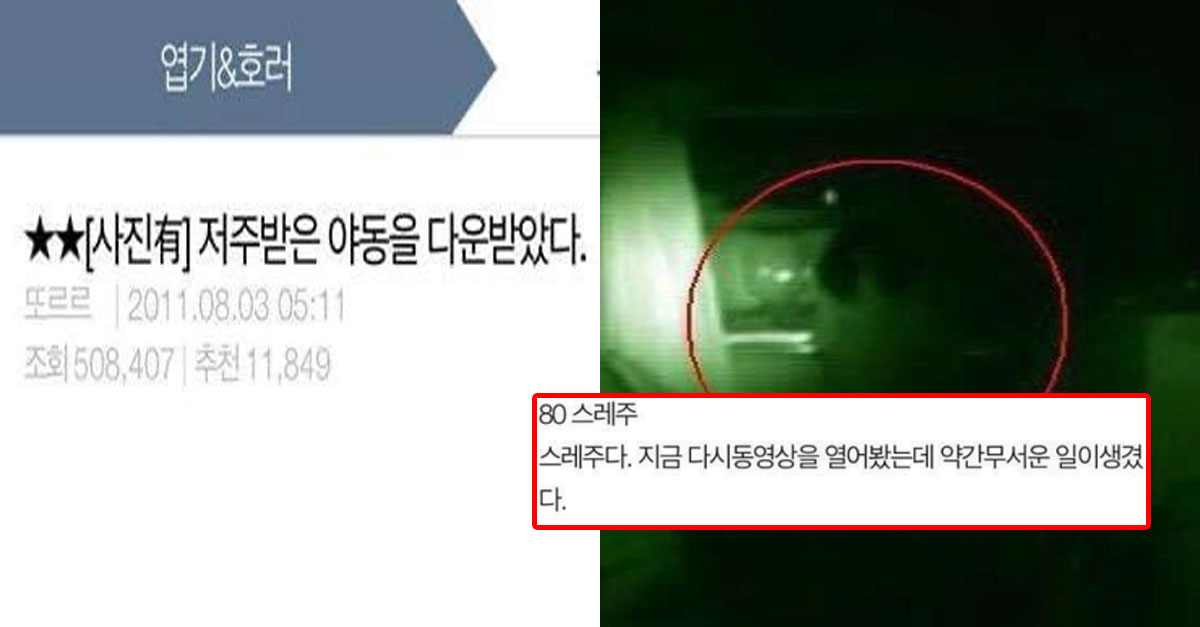  스레딕 괴담, 저주받은 야X을 다운받았다