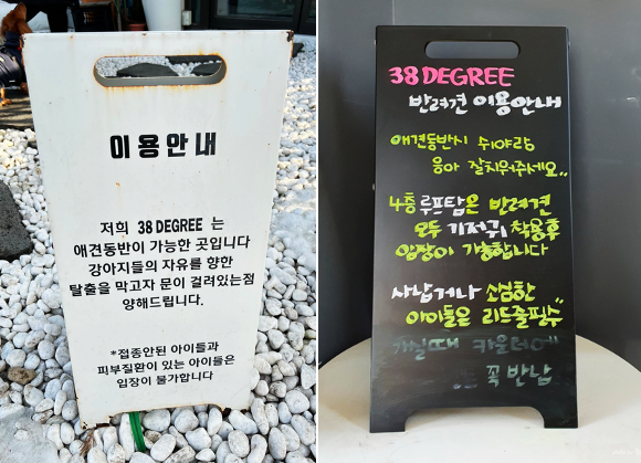 가볼만한곳 속초 38DEGREE 14