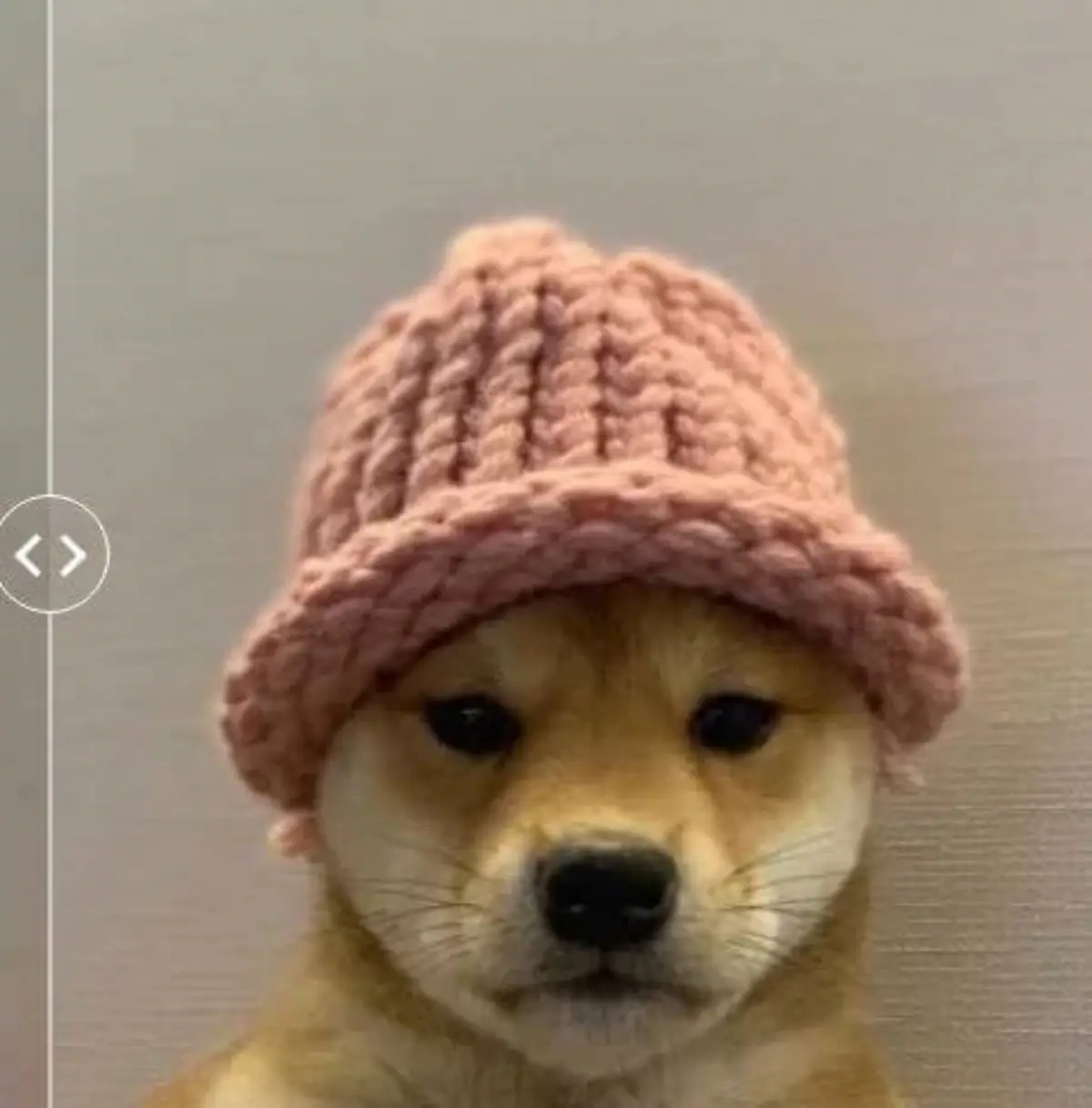 코인 이미지