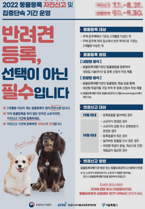 반려동물등록제포스터