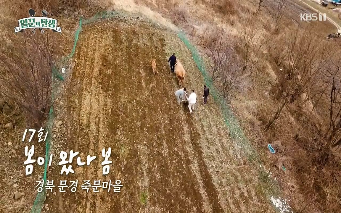 일꾼의 탄생.E19.220414p-NEXT.mp4_20220414_182610.836.jpg
