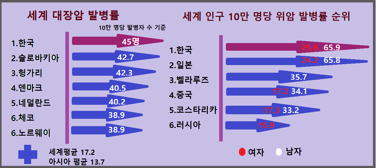  암 예방식품,암 촉진식품. 세계 대장암 발병률 순위. 세계 위암 발병률 순위. 미국내 인종별 위암 발병률 순위.