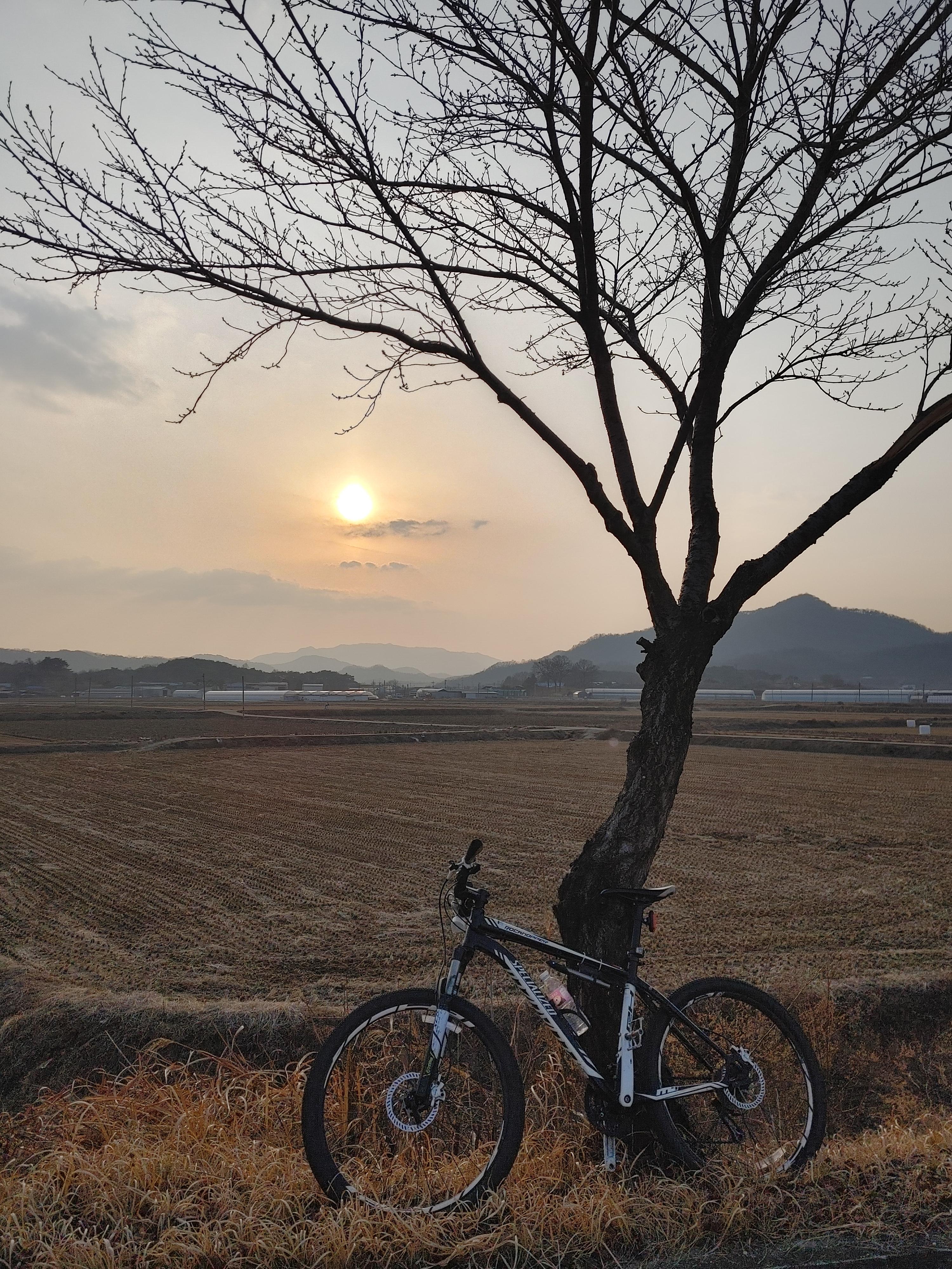 가다리 이미지