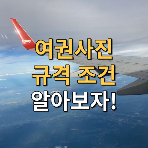 여권사진 규격 조건 썸네일