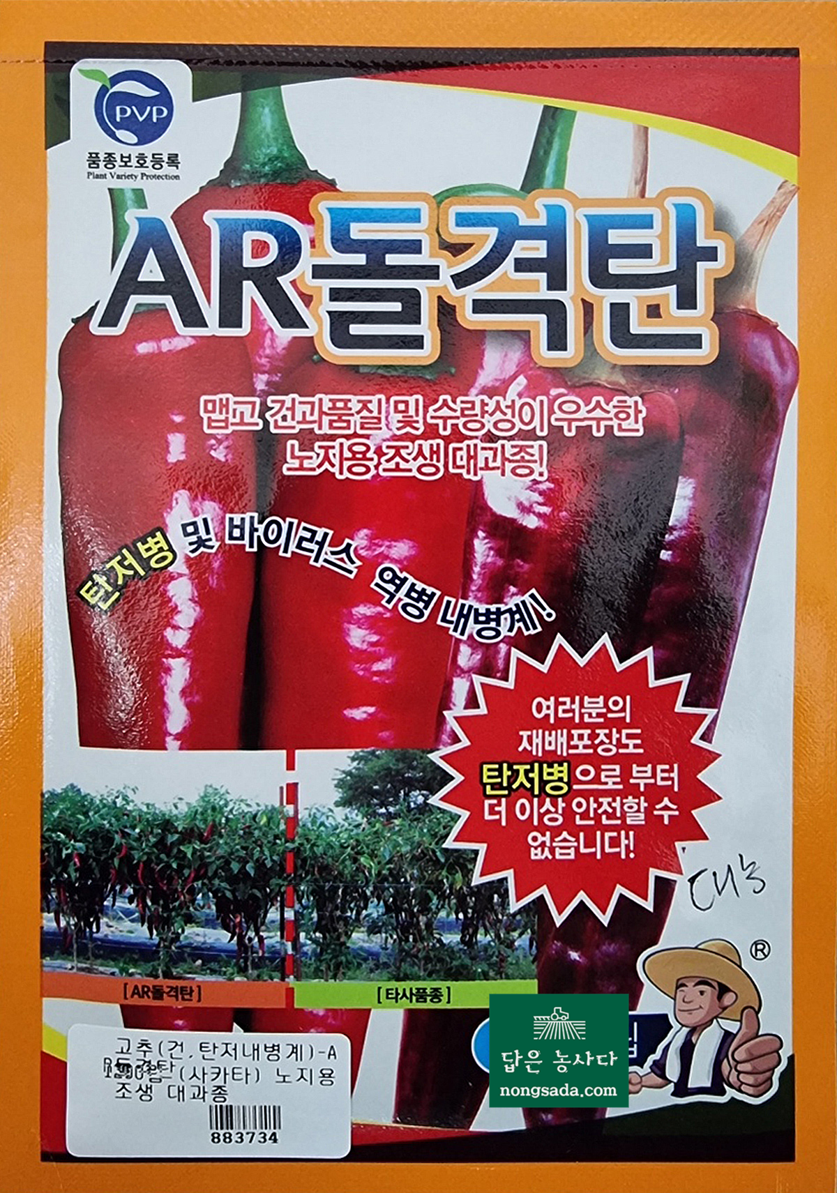 AR돌격탄 고추 씨앗종자: 높은 수확량과 우수한 품질의 대과종 고추