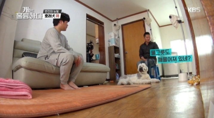  혼자사는 견주에게 빡친 강형욱
