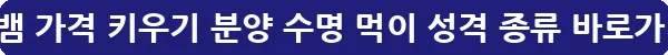 도마뱀 가격 키우기 분양 수명 먹이 성격 종류_9