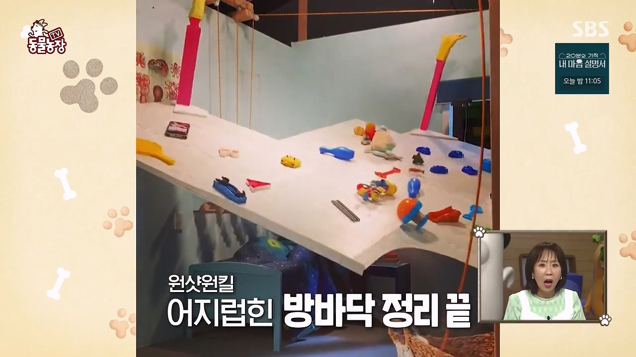 TV 동물농장.E1172.240520p-NEXT.mp4_20240519_162207.404.jpg