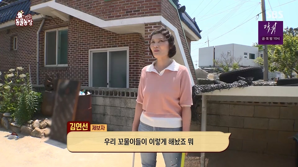 TV 동물농장.E1126.230625p.H264-F1RST.mp4_20230626_204253.137.jpg