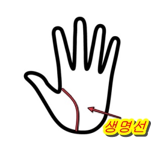  생명선으로 알 수 있는 유형이나 나이를 어떻게 보는가?