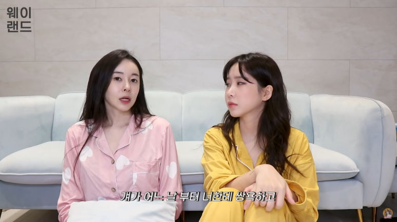 ●심지호 등을 거론하며 '오지호, 허이제 남자배우 아님' 성명문 '허이제 은퇴 사유'라고 하는 유부남 배우 정지호 28