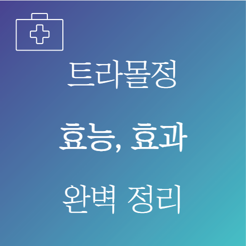 트라몰정