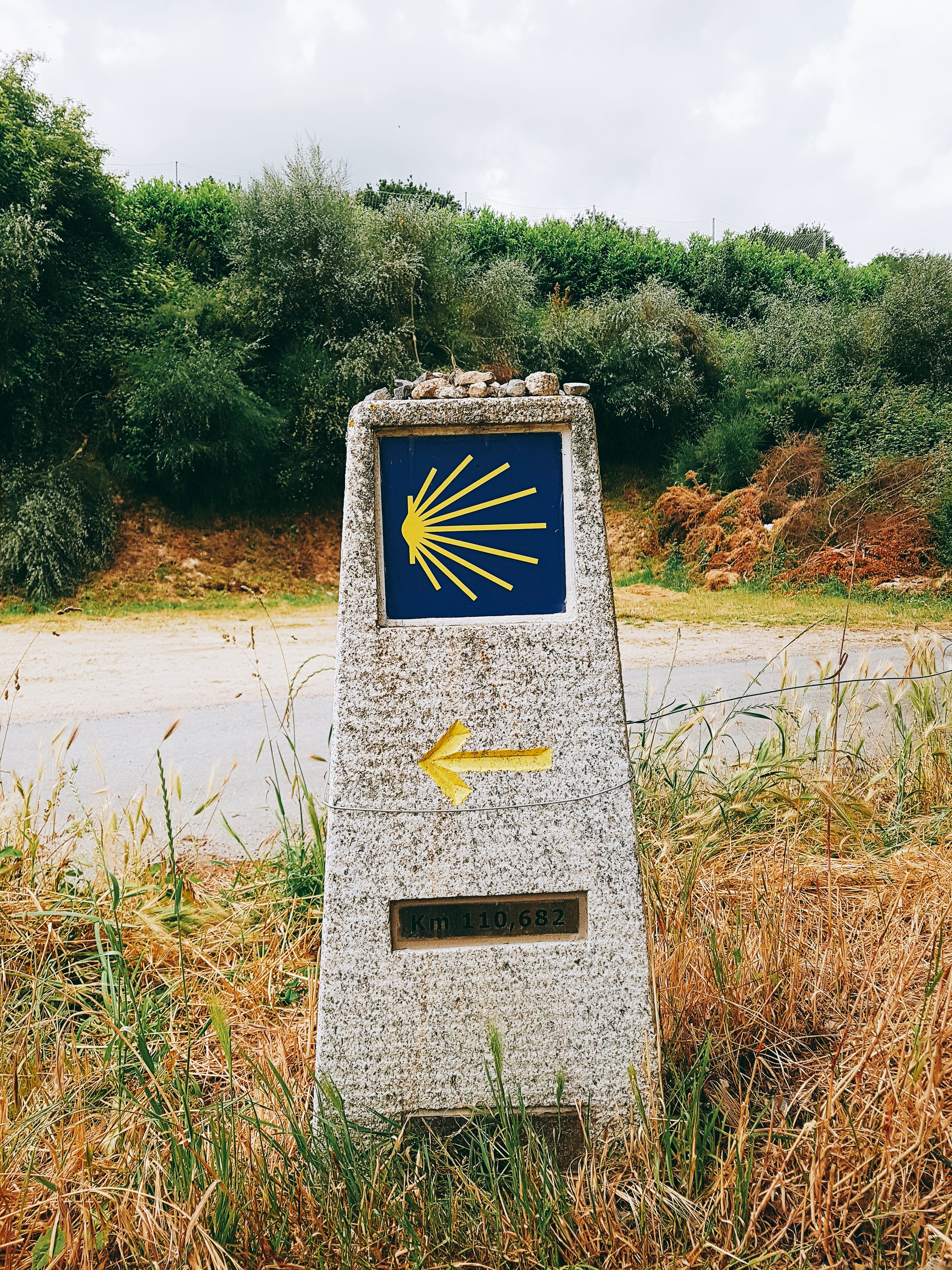  Camino de Santiago - 190610, 19일 차 [폰프리아 → 발바델로]