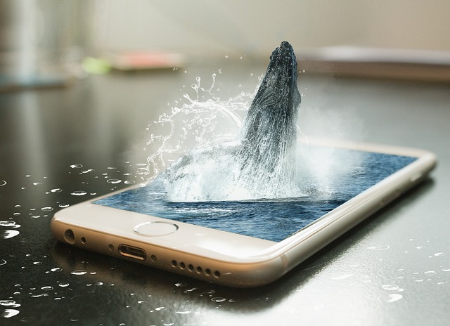 핸드폰-화면에서-고래가-튀어오르는-모습