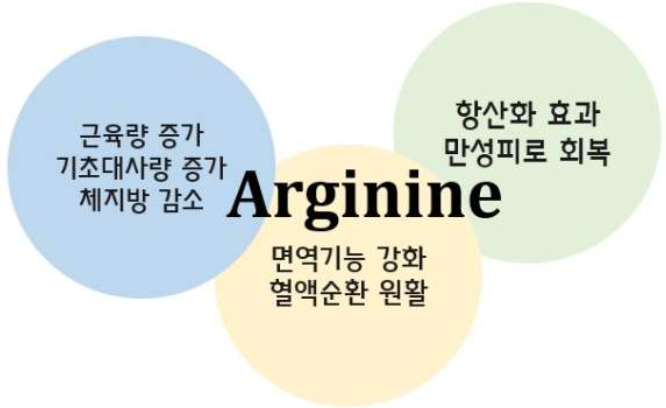  아르기닌 중요한 이유? 효과 및 부작용 총정리!