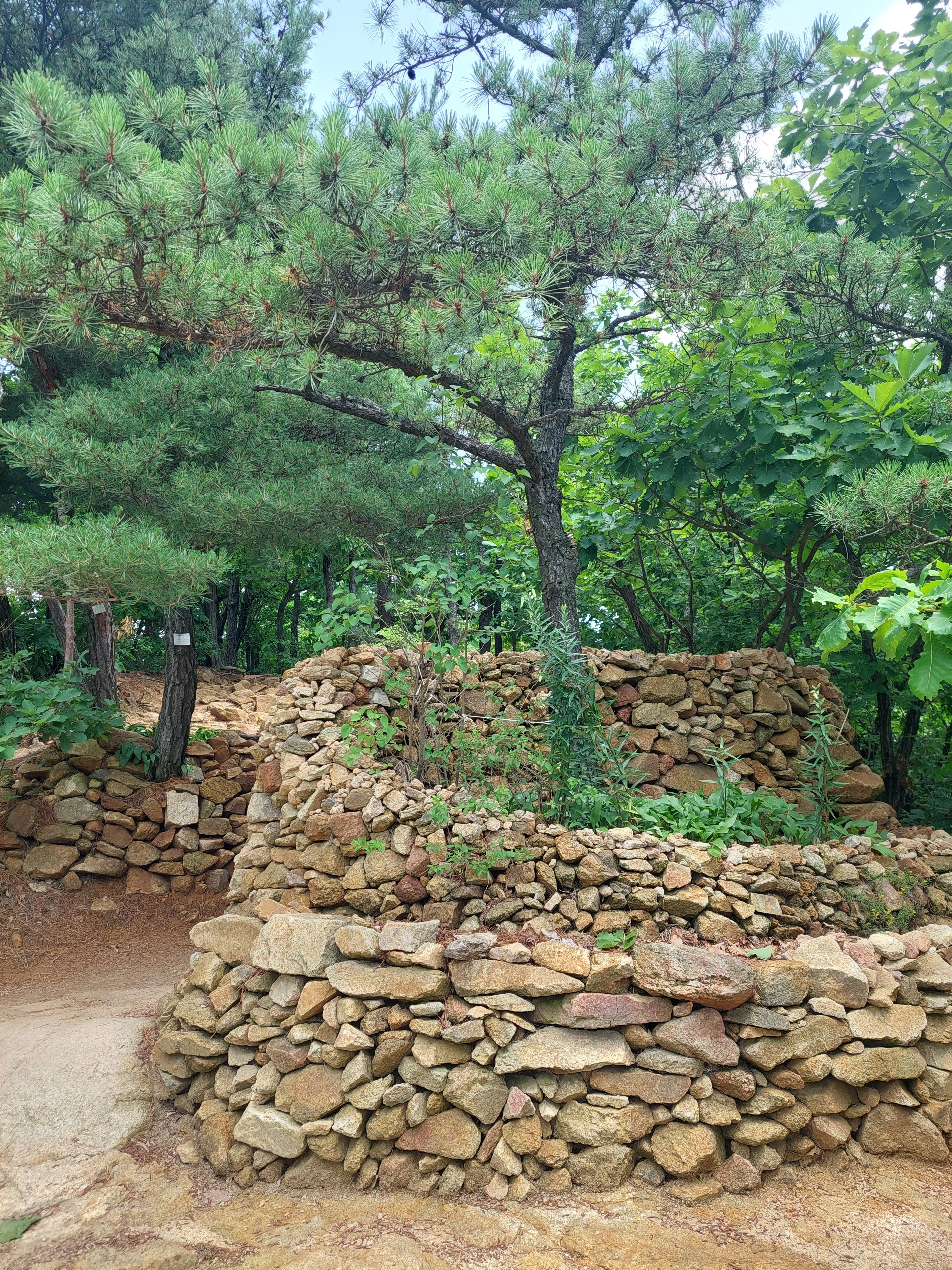 용마산아차산