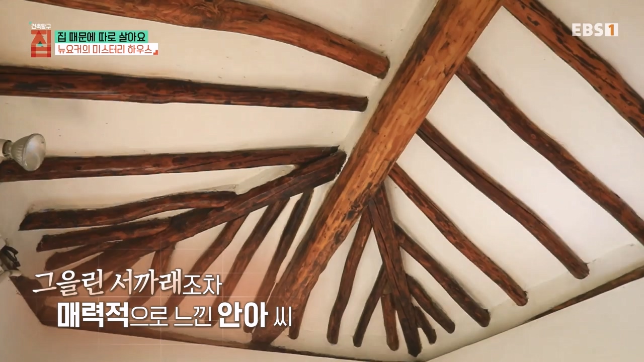 TV - 전 국민의 평생학교 EBS집 때문에 따로 살아요.mp4_20231009_171334.047.jpg