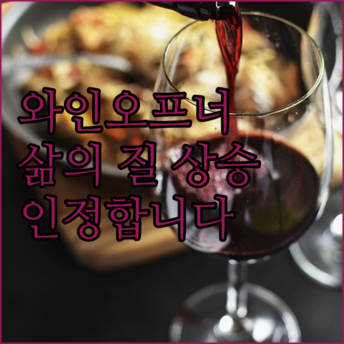 자동 와인오프너 써보니 신세계! 삶의