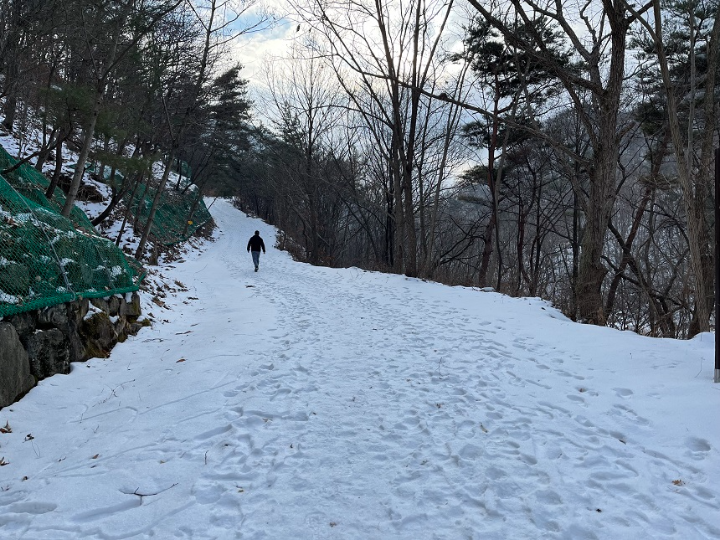 눈이-쌓인-숲길을-걷는-사람-한-명