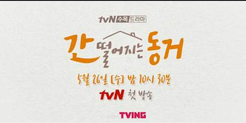 tvN 신작드라마