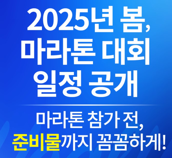 2025년 마라톤 대회