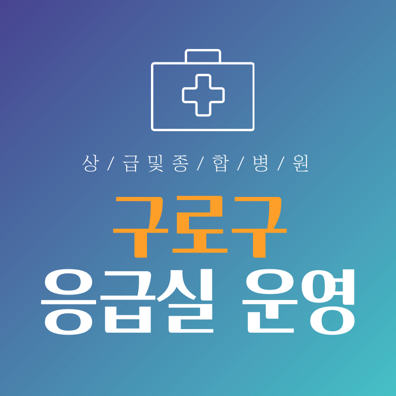 서울 구로구 응급실 운영