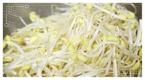 콩나물국 맛있게 끓이는 법 쉽게 콩나물국 맛있게 끓이는 법 쉽게