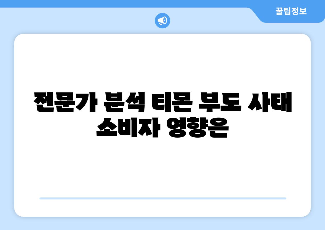 전문가 분석 티몬 부도 사태 소비자 영향은