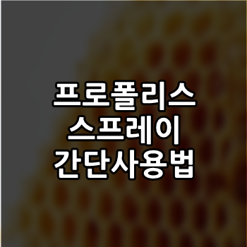  프로폴리스 스프레이 간편사용법 알쓸정보