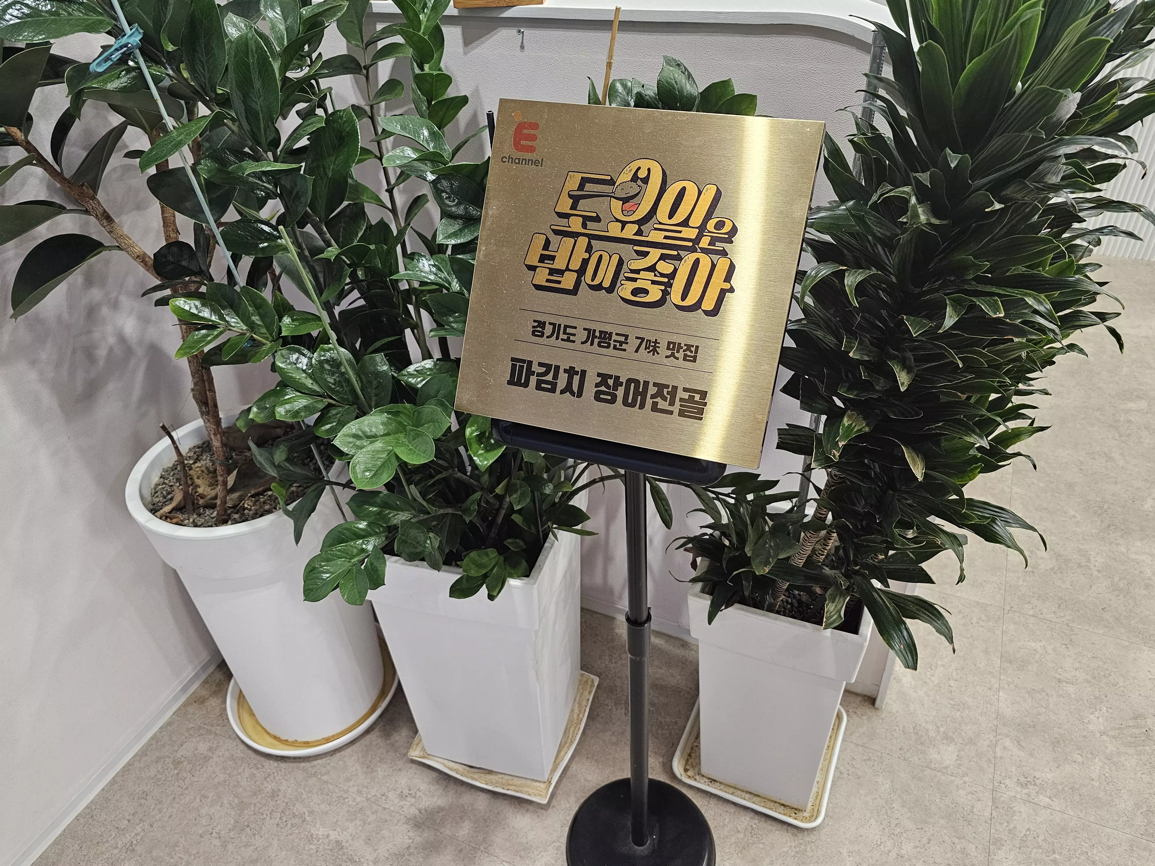 토요일은 밥이 좋아