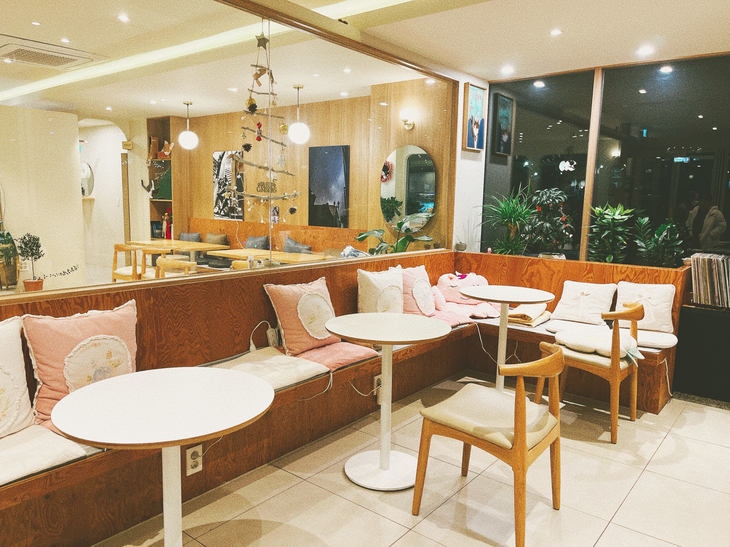 벚꽃의 계절이 왔습니다 1