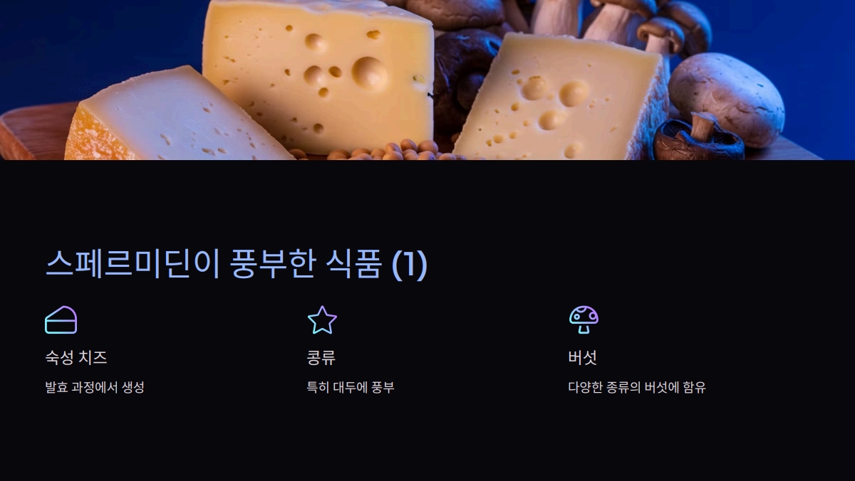 스페르미딘 효능