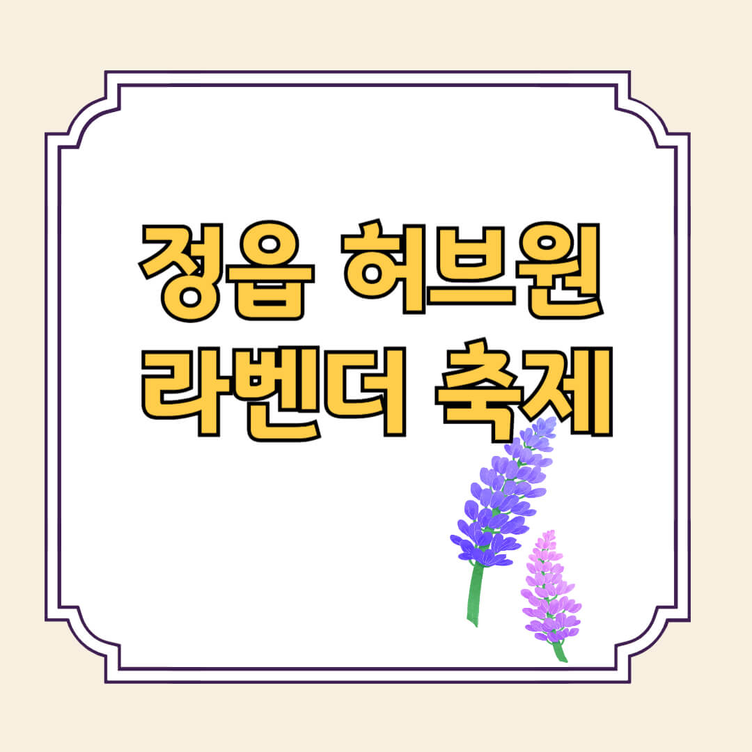 정읍 허브원 라벤더 축제