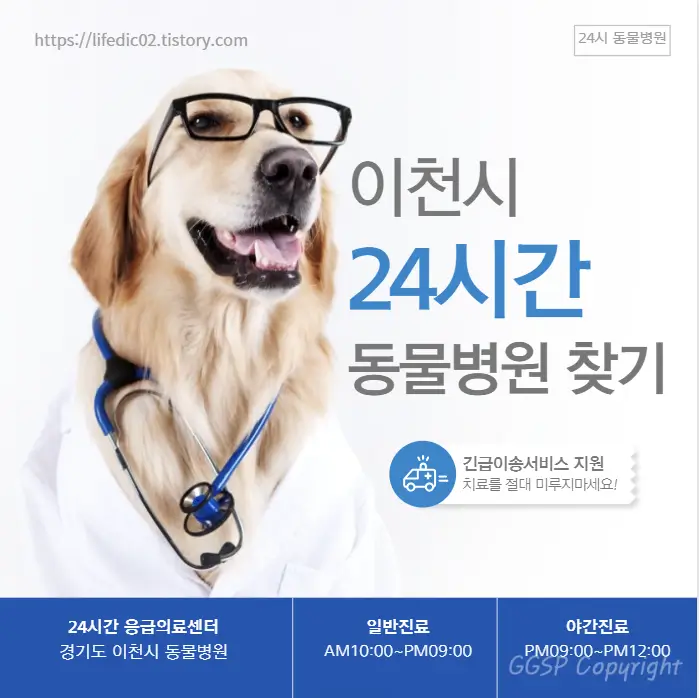  이천시 24시간 동물병원 근처 야간 일요일 고양이 병원 찾기