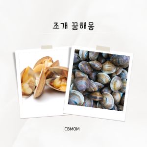 조개 꿈