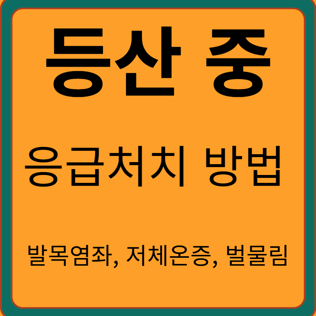 등산 중 응급처치 방법 발목 염좌, 저체온증, 벌 물림에 대비하세요.