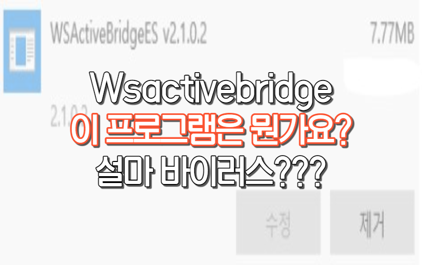  Wsactivebridge 이건 무슨 프로그램인가요? 설마 바이러스?
