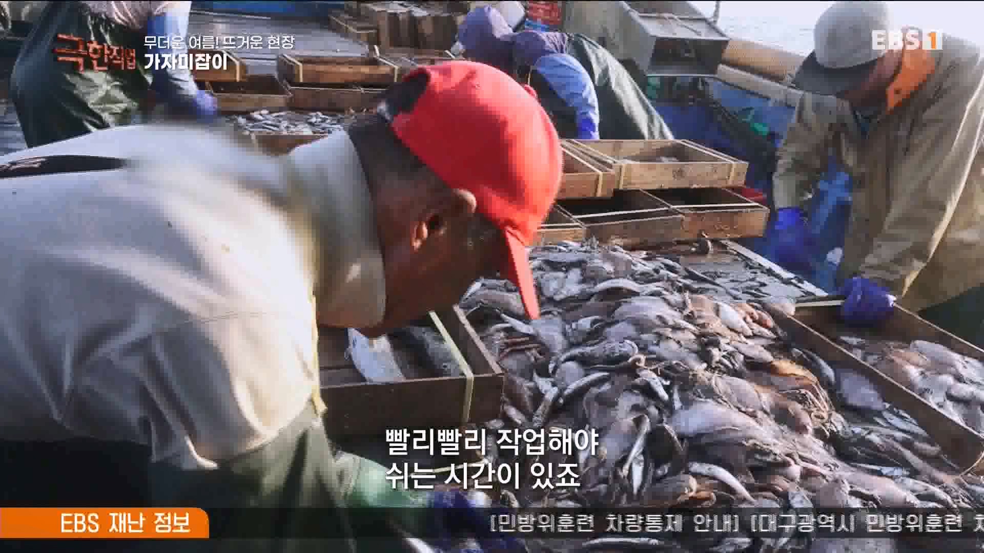 [극한 직업] 가자미잡이와 추어탕 230819.mp4_20230823_203257.241.jpg